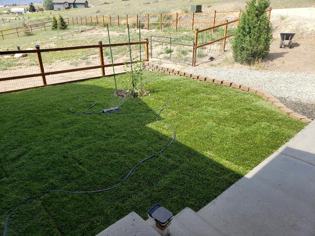 Chris Ingram Finished Grass